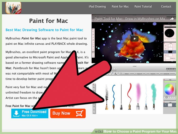 Paint programs for macos
